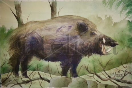 Jabali