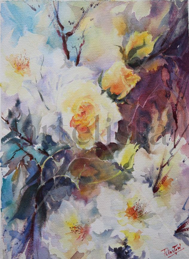 Rosas blancas
