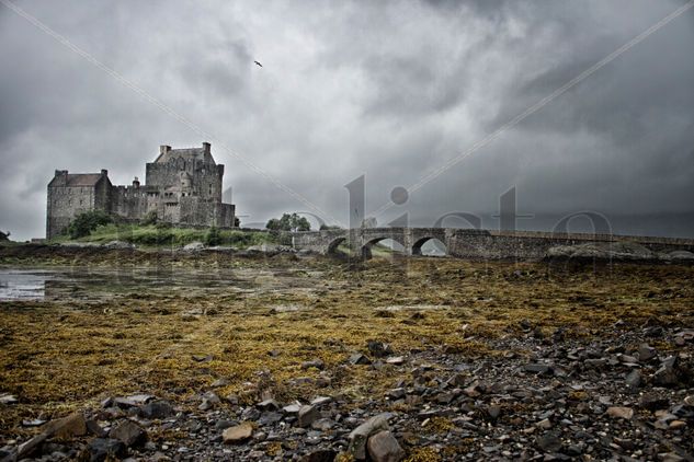 Eilean Donan Castle Travel Color (Digital)