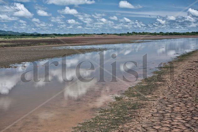 Desierto