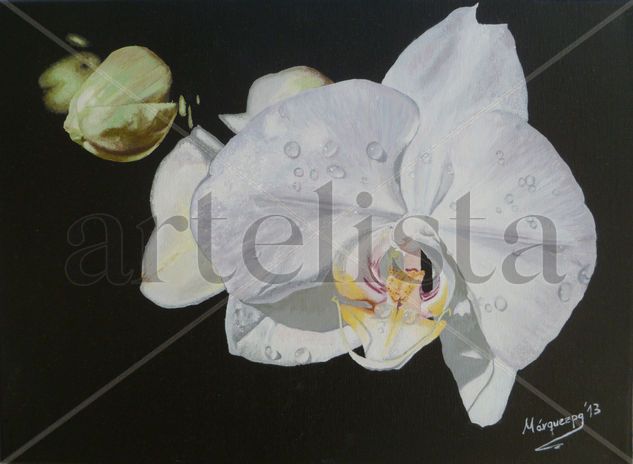 ORQUIDEA I Oil Canvas Floral Painting