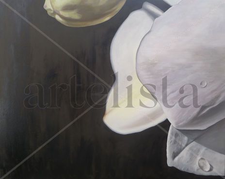 Fragmento Orquidea