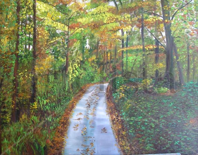 Carretera del bosque