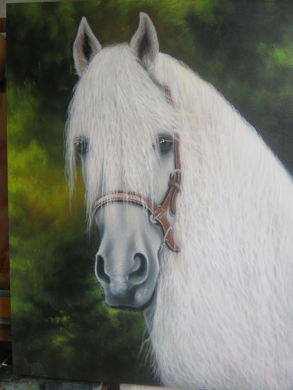 caballo de nieve Acrylic Canvas Animals