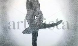Ballet, Danza