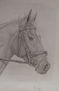 Caballo 2