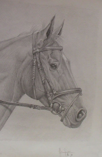 Caballo 2 Pencil