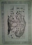 Notas musicales