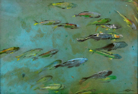 Peces