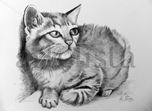 mi gato gris Ink