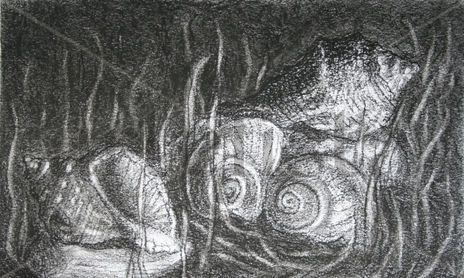 Dibujos carbonicos/ Charcoal drawings