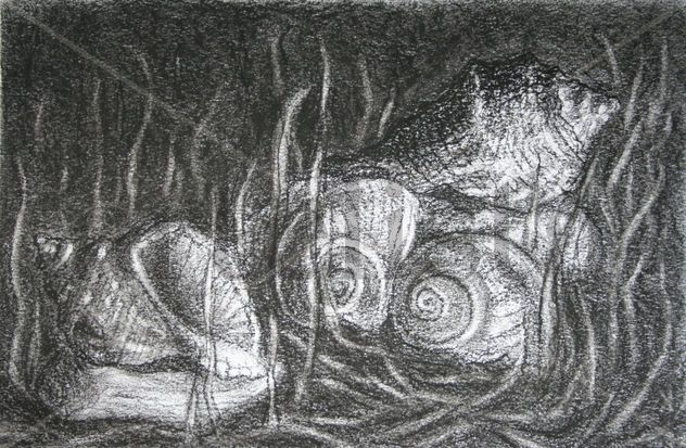 mejillones en el fondo del mar/ seashells on the seabed