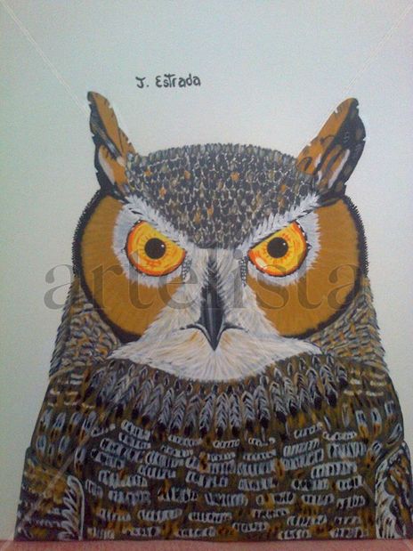 Los Ojos del Buho