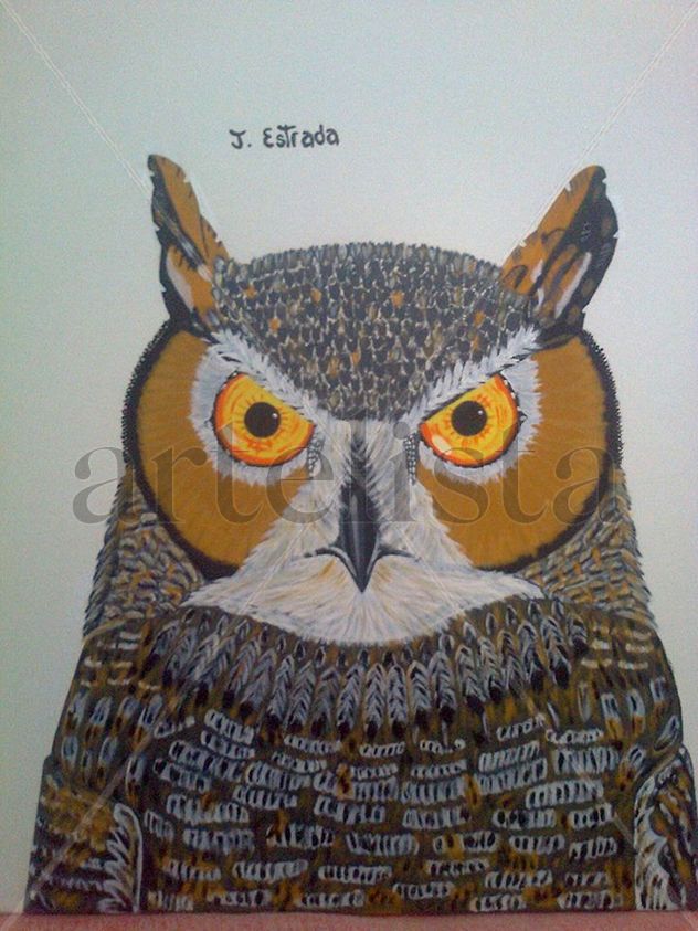 Los Ojos del Buho