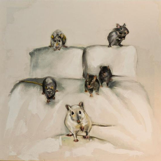 La Pereza Oil Canvas Animals