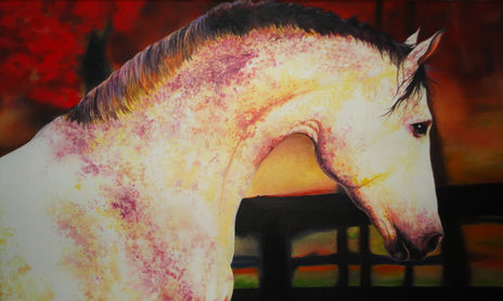 Equus