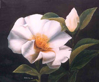 "Flor Blanca"