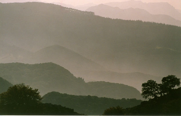 Candina Naturaleza Color (Química)