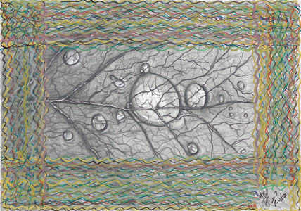 Hoja Atrapada