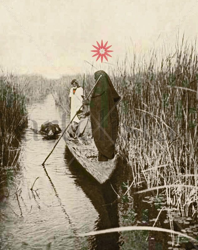 New Picture (15) copy con flor