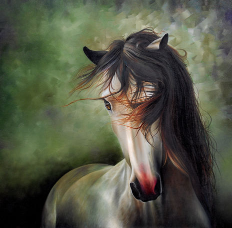 Caballo 4