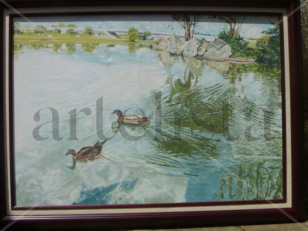 Lago Parque de la Paz Costa Rica Oil Canvas Landscaping