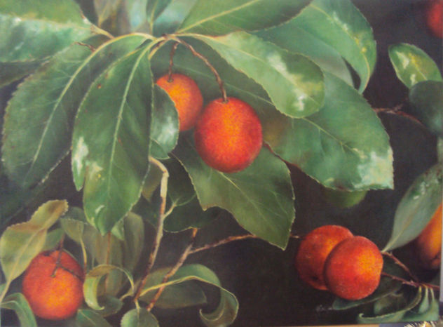 MADROÑERA EN OTOÑO