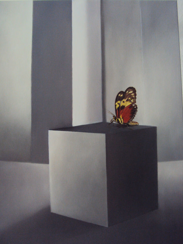 ESCENA GRIS CON MARIPOSA