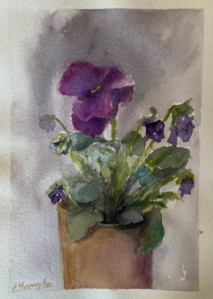 Violeta
