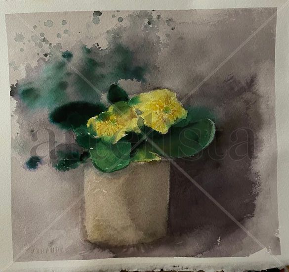 Prímula Acuarela Papel Floral