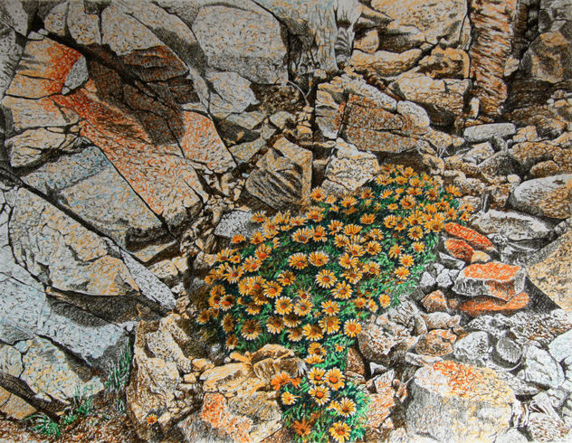 flores entre las rocas