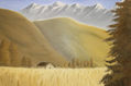 paisaje campo