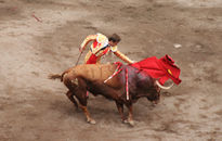 El maestro El Juli