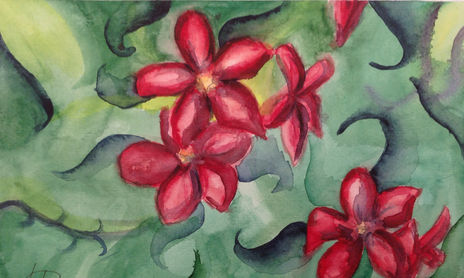 Flores
