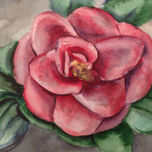 Flores thumbnail 1