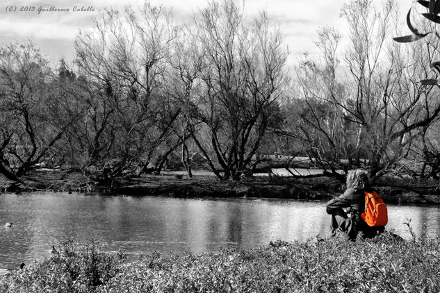 La Mochila Naranja Naturaleza Blanco y Negro (Digital)