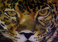 CARA JAGUAR