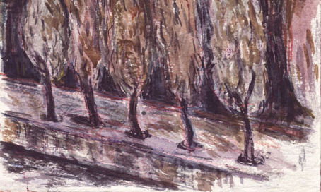 Acuarelas árboles