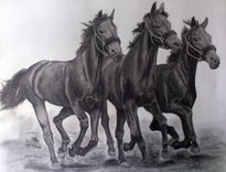 Caballos