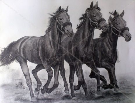 Caballos