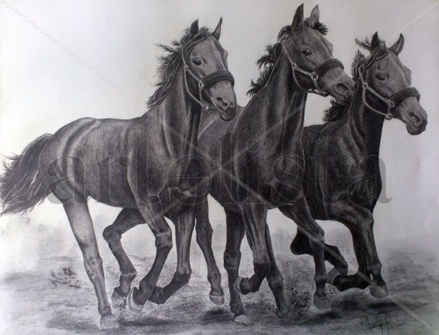 Caballos Lápiz