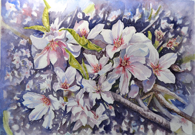 flores de almendro