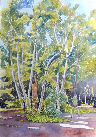 claro de bosque Watercolour Paper Landscaping