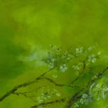 flores thumbnail 2