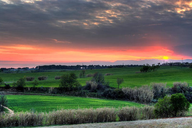 Puesta de sol Nature Alternative techniques