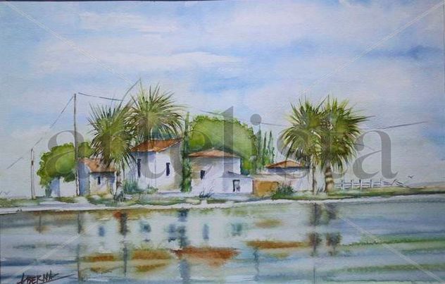 Reflejos acuáticos