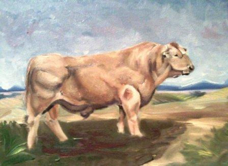 Bull Oil Textile Animals