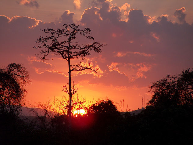 Crepúsculo 