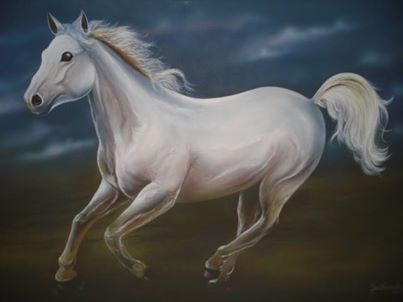 CABALO BLANCO