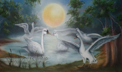 Cisnes-gansos-del-á...